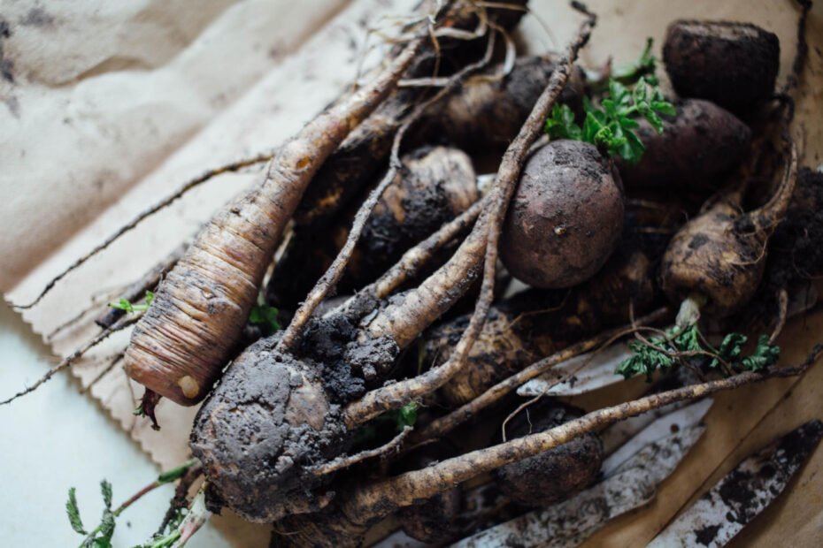 WILD YAM (LAUKINIS JAMAS) - Nauda, Naudojimas, šalutinis poveikis ir dar daugiau