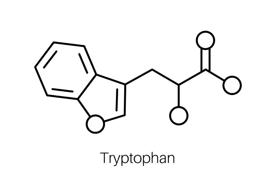 L-TRIPTOFANAS - Privalumai, naudojimas, šalutinis poveikis ir dar daugiau